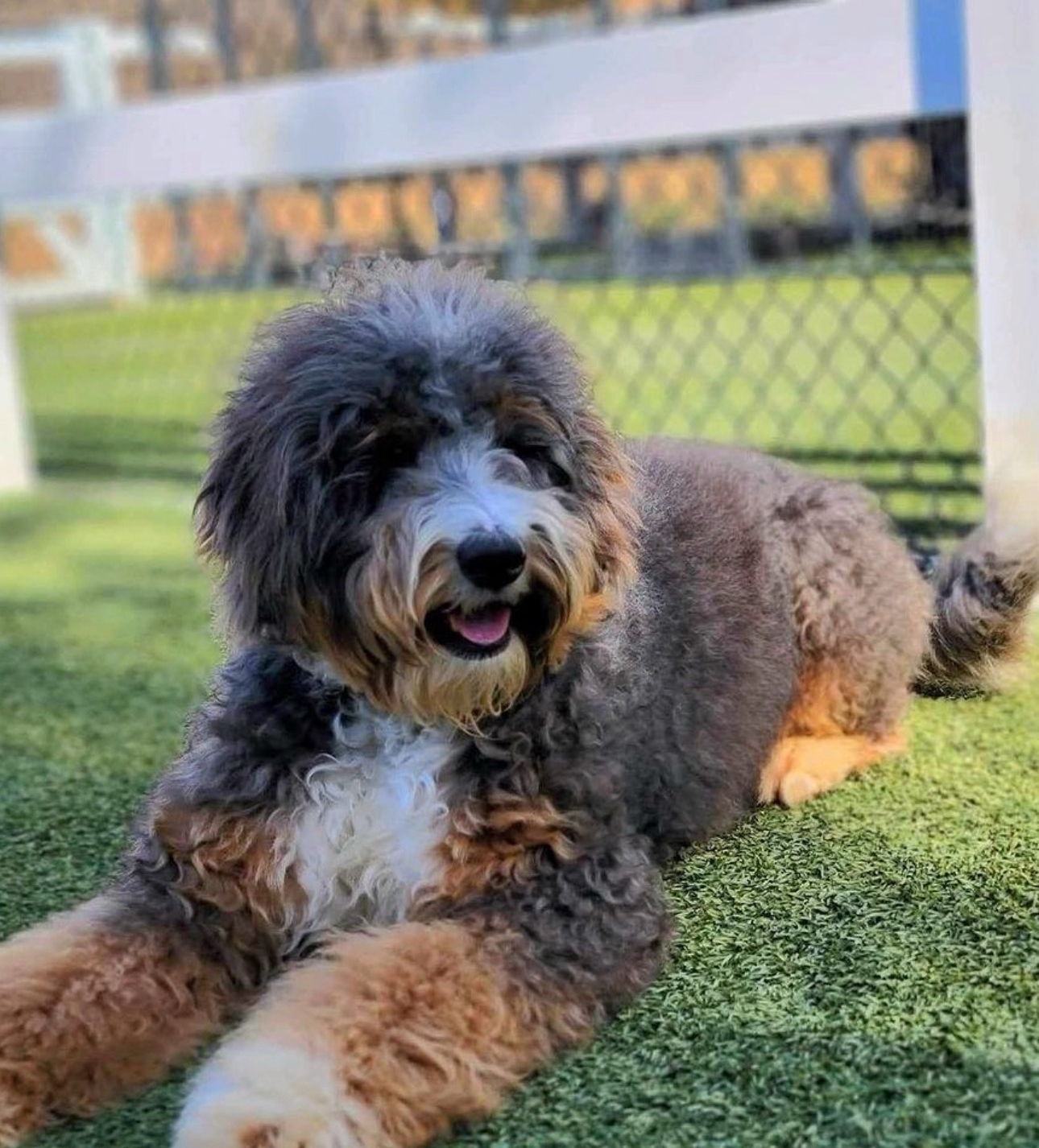 Shady Oak’s Marlee